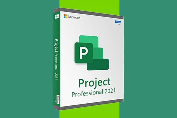 Microsoft Project Professional 2021